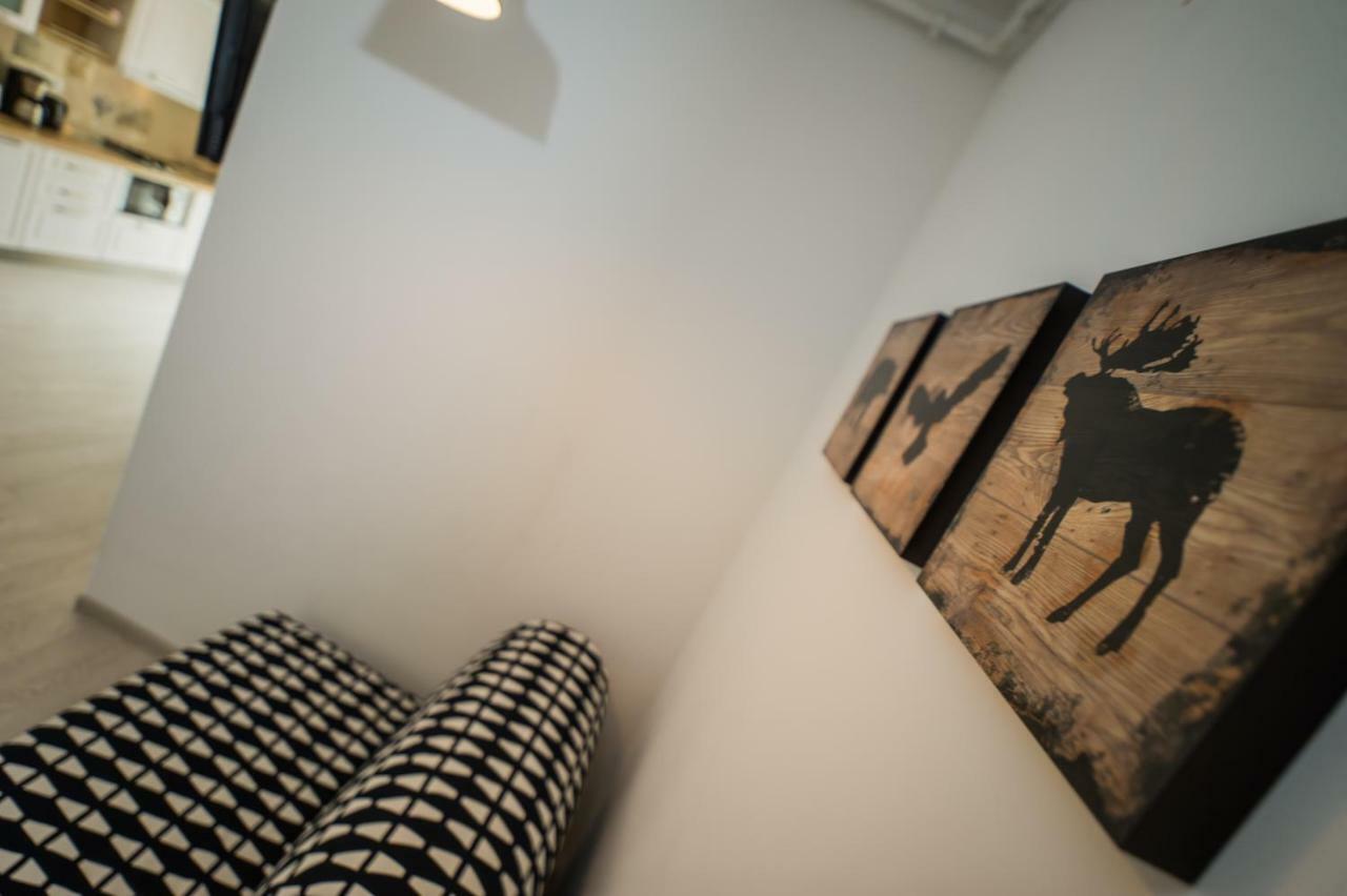 Schiller Apartment 57 - Free Private Parking บราชอฟ ภายนอก รูปภาพ
